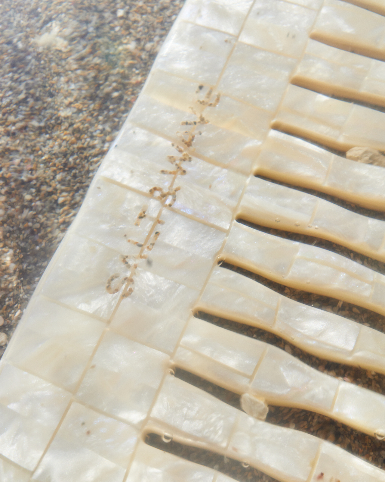 Santorini Comb in Honeycomb