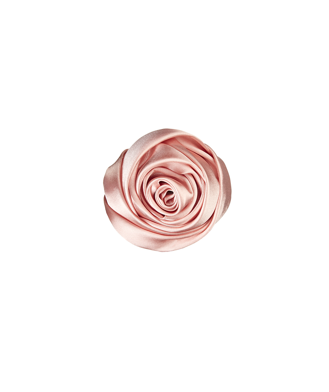Stockholm Rose